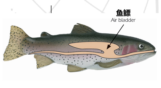 環(huán)境氣象|空氣質量|海洋環(huán)境|水質水文|植物生態(tài) 環(huán)境氣象|空氣質量|海洋環(huán)境|水質水文|植物生態(tài)