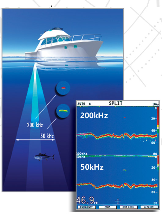環(huán)境氣象|空氣質量|海洋環(huán)境|水質水文|植物生態(tài) 環(huán)境氣象|空氣質量|海洋環(huán)境|水質水文|植物生態(tài)