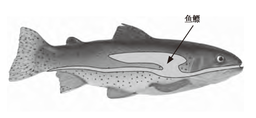 1525532223264492.png image.png