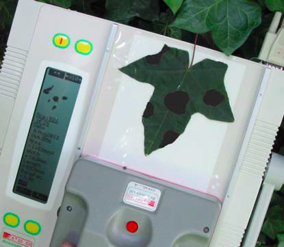 1526046211842004.png image.png