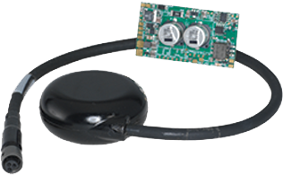 環(huán)境氣象|空氣質(zhì)量|海洋環(huán)境|水質(zhì)水文|植物生態(tài)